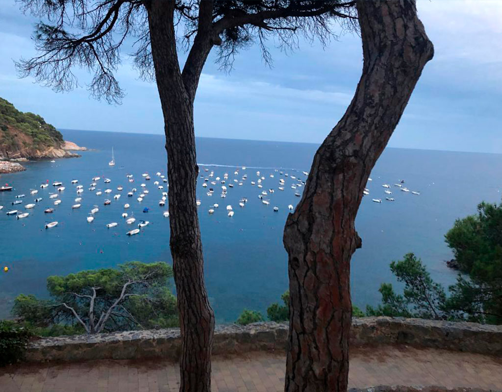 camino de ronda