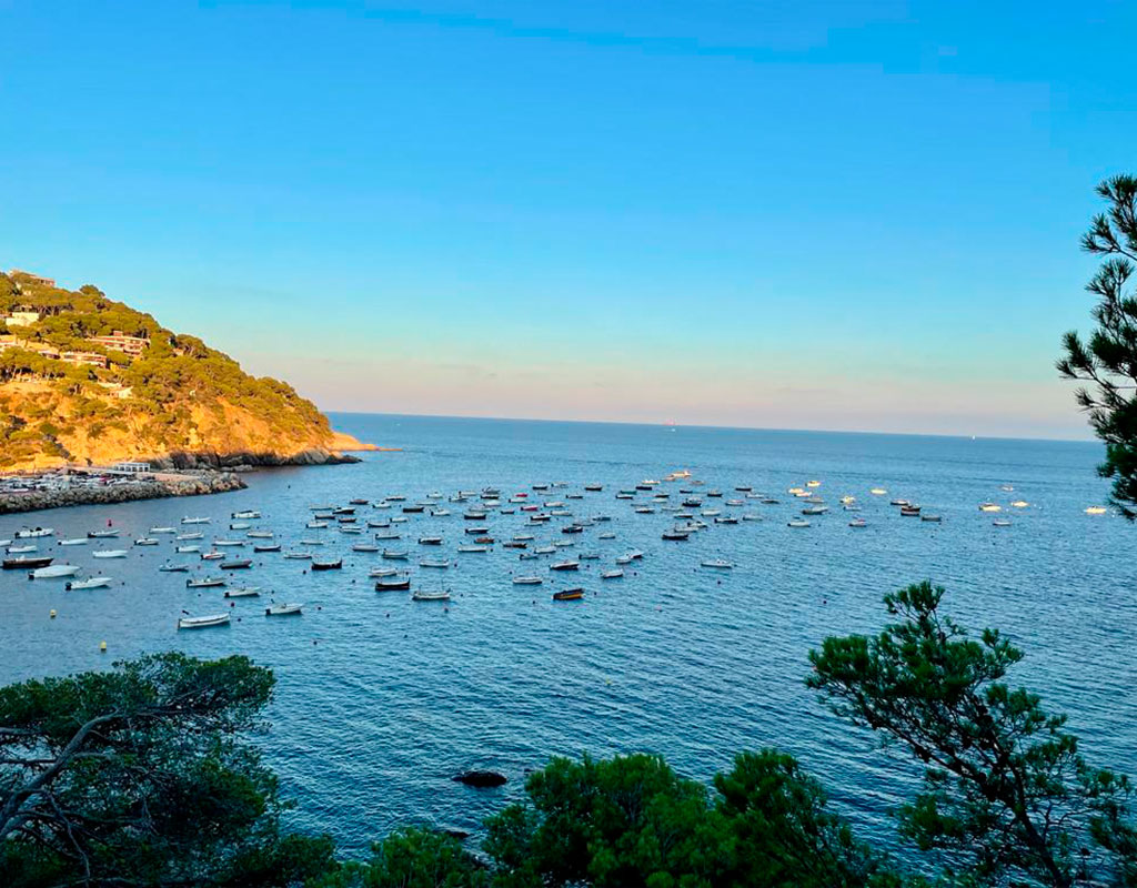 camino de ronda