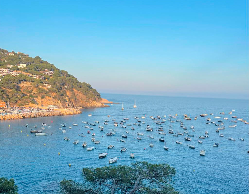 camino de ronda