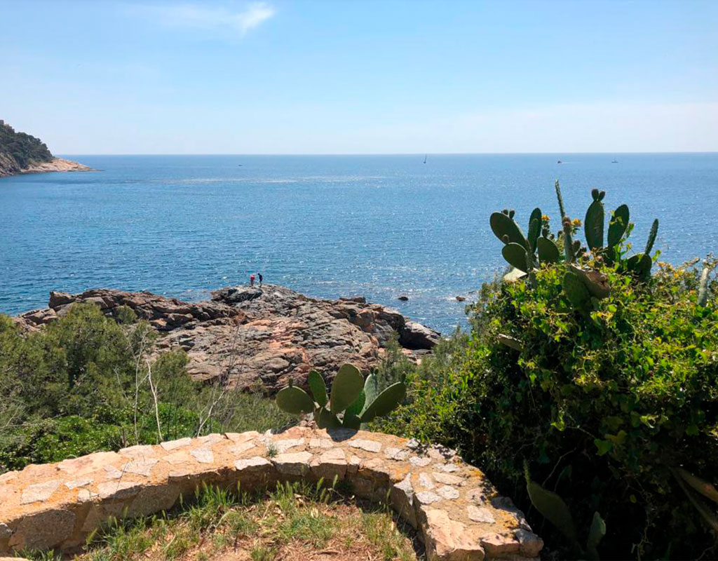camino de ronda