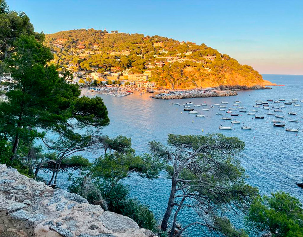 camino de ronda