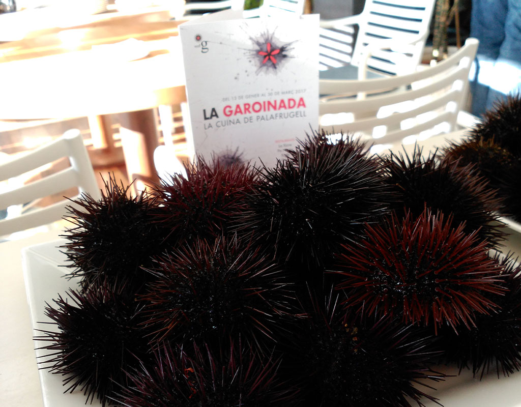 garoinada