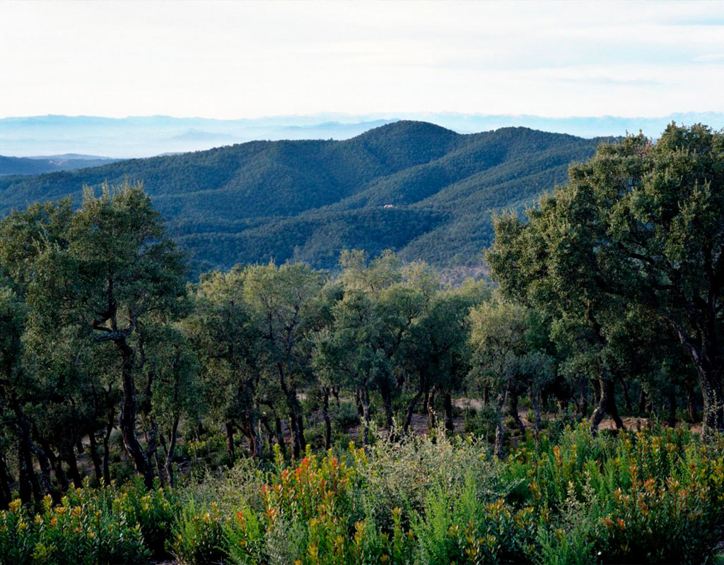 pasear por Les Gavarres