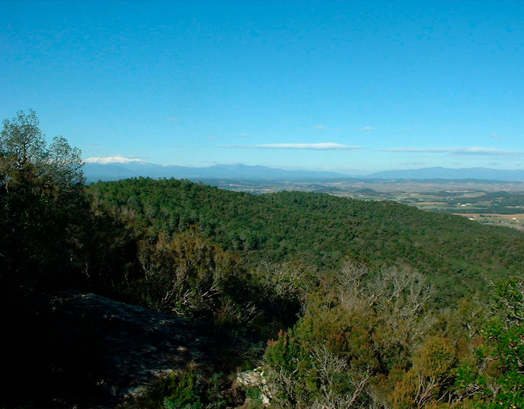 pasear por Les Gavarres