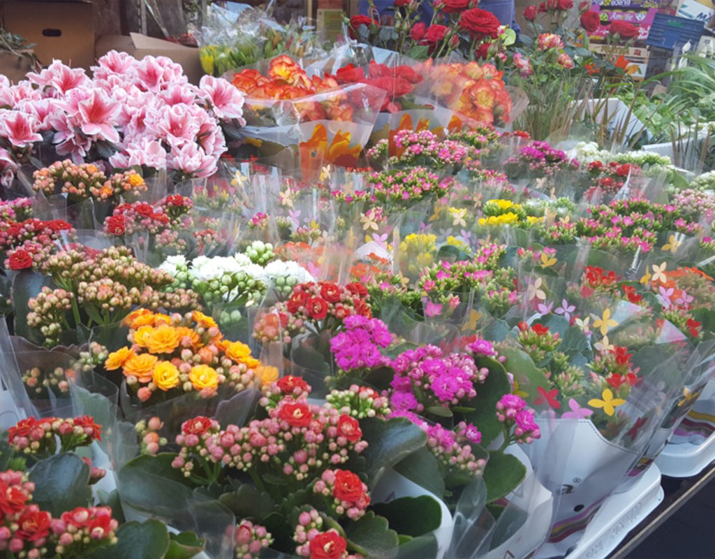 mercat de palafrugell